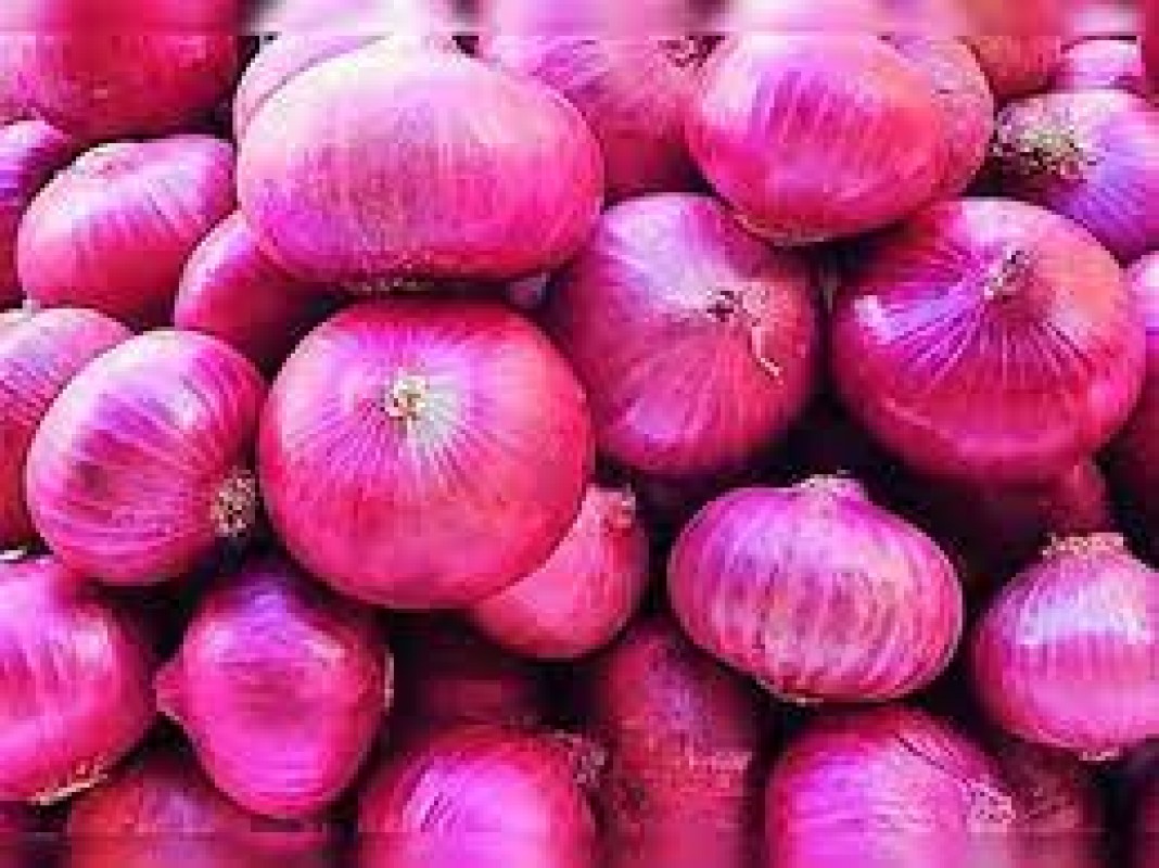 Red Garwa Onions from India